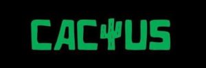 играть в слот на Casino cactus