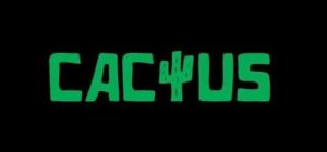 играть в слот на Casino cactus